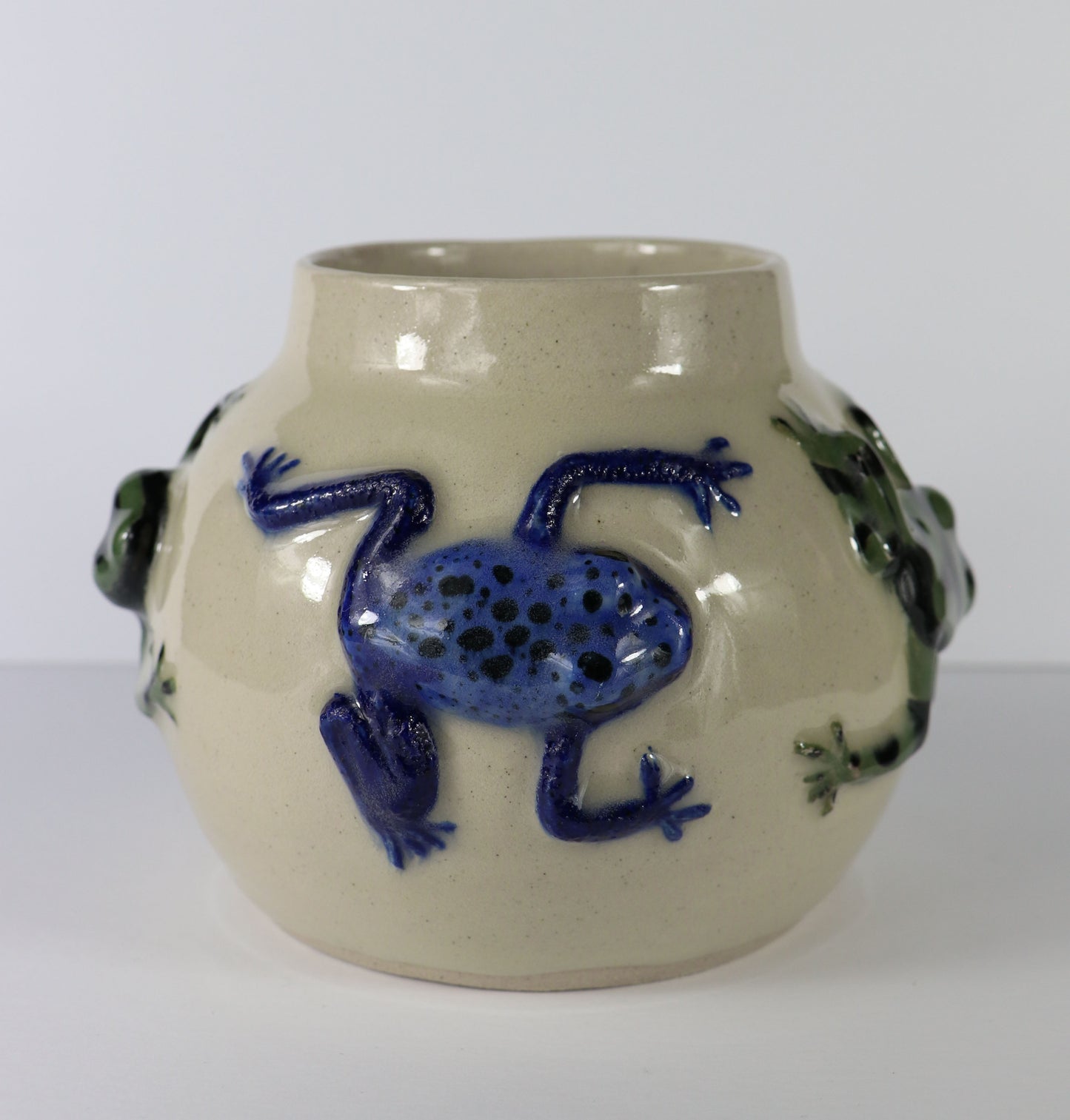 Poison Dart Frog Pot