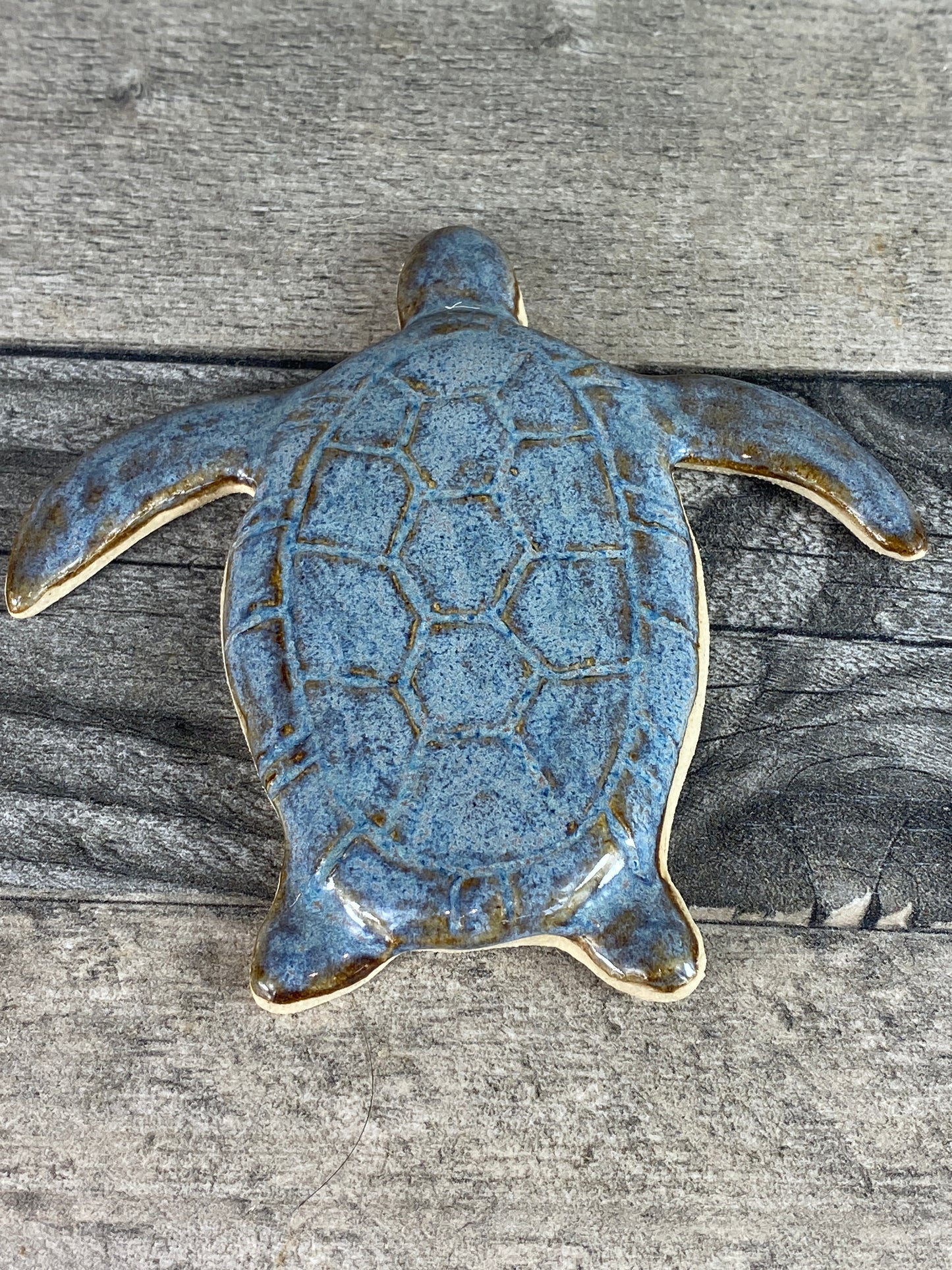 Blue Tide Turtle