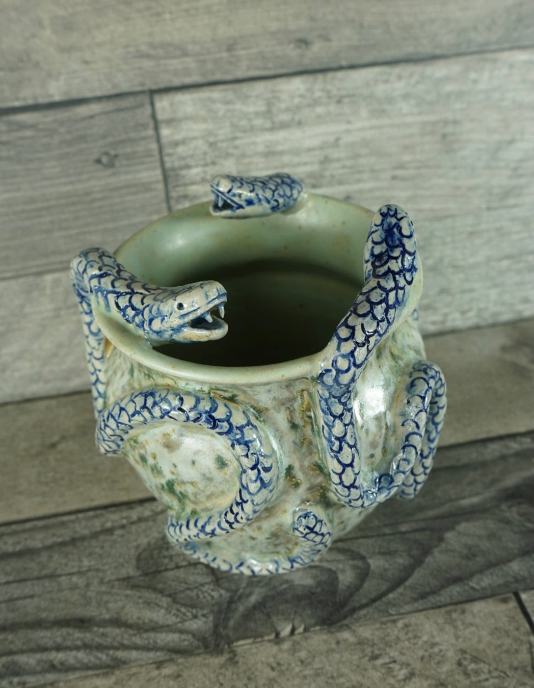 Snake Pot