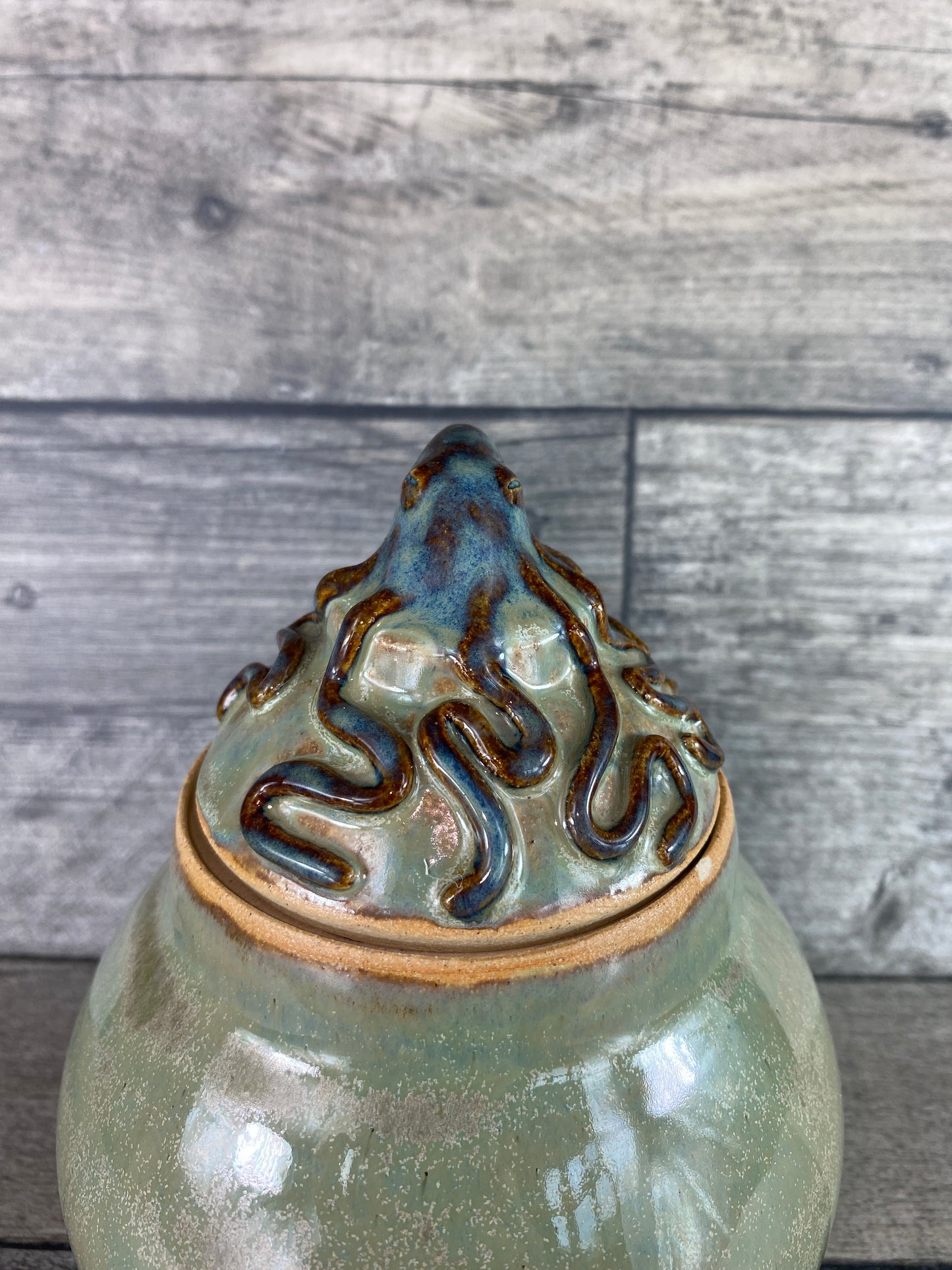 Octopus Pot