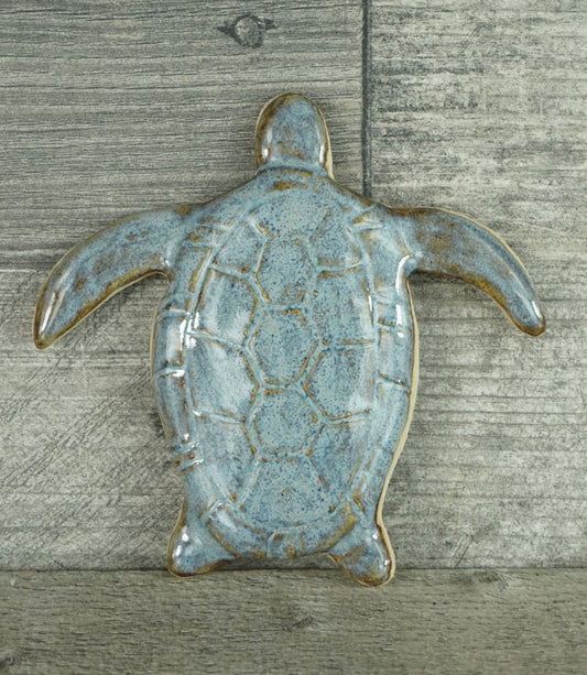 Blue Tide Turtle