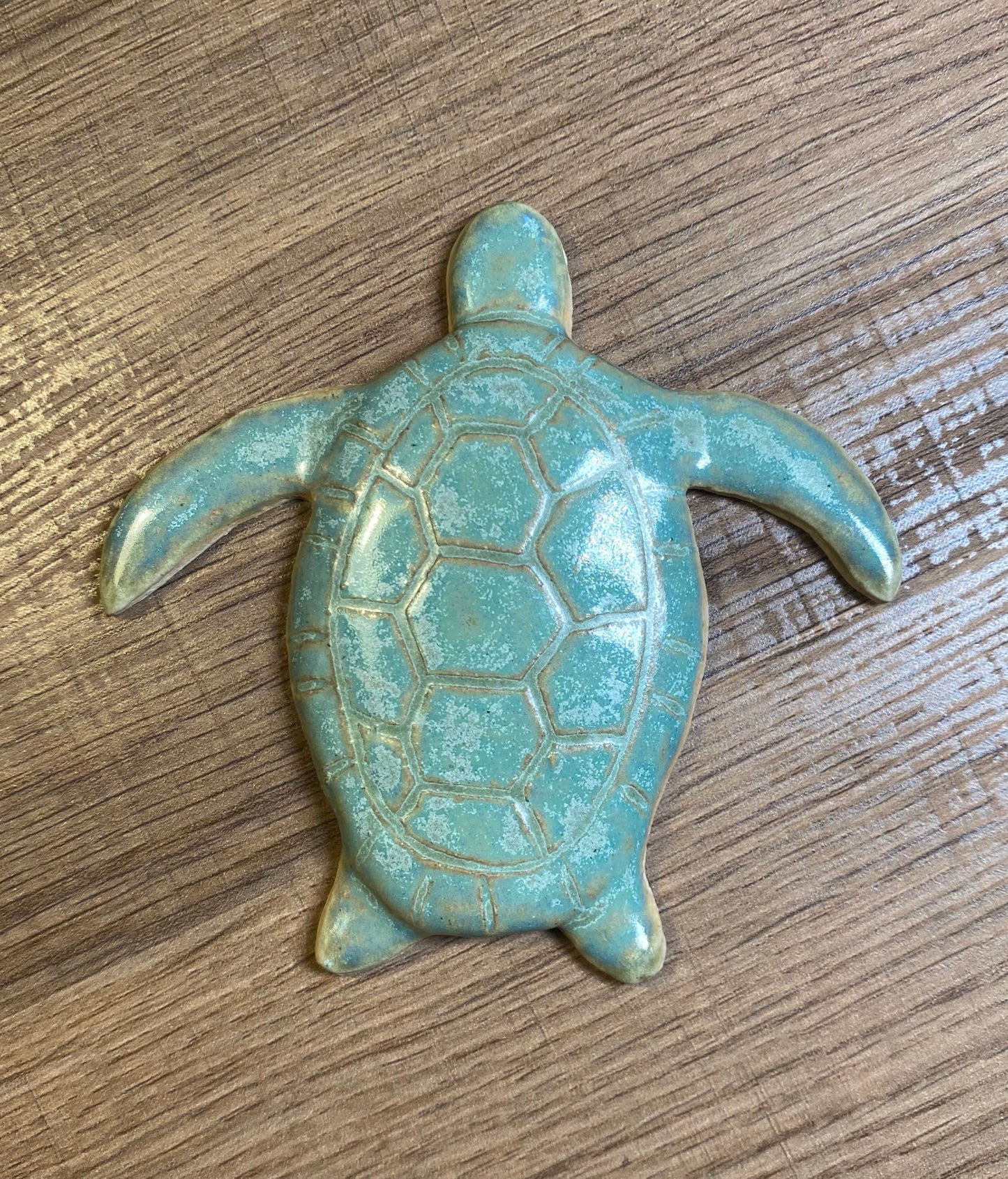 Sage Green Turtle