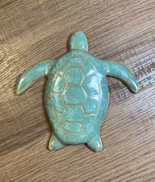 Sage Green Turtle
