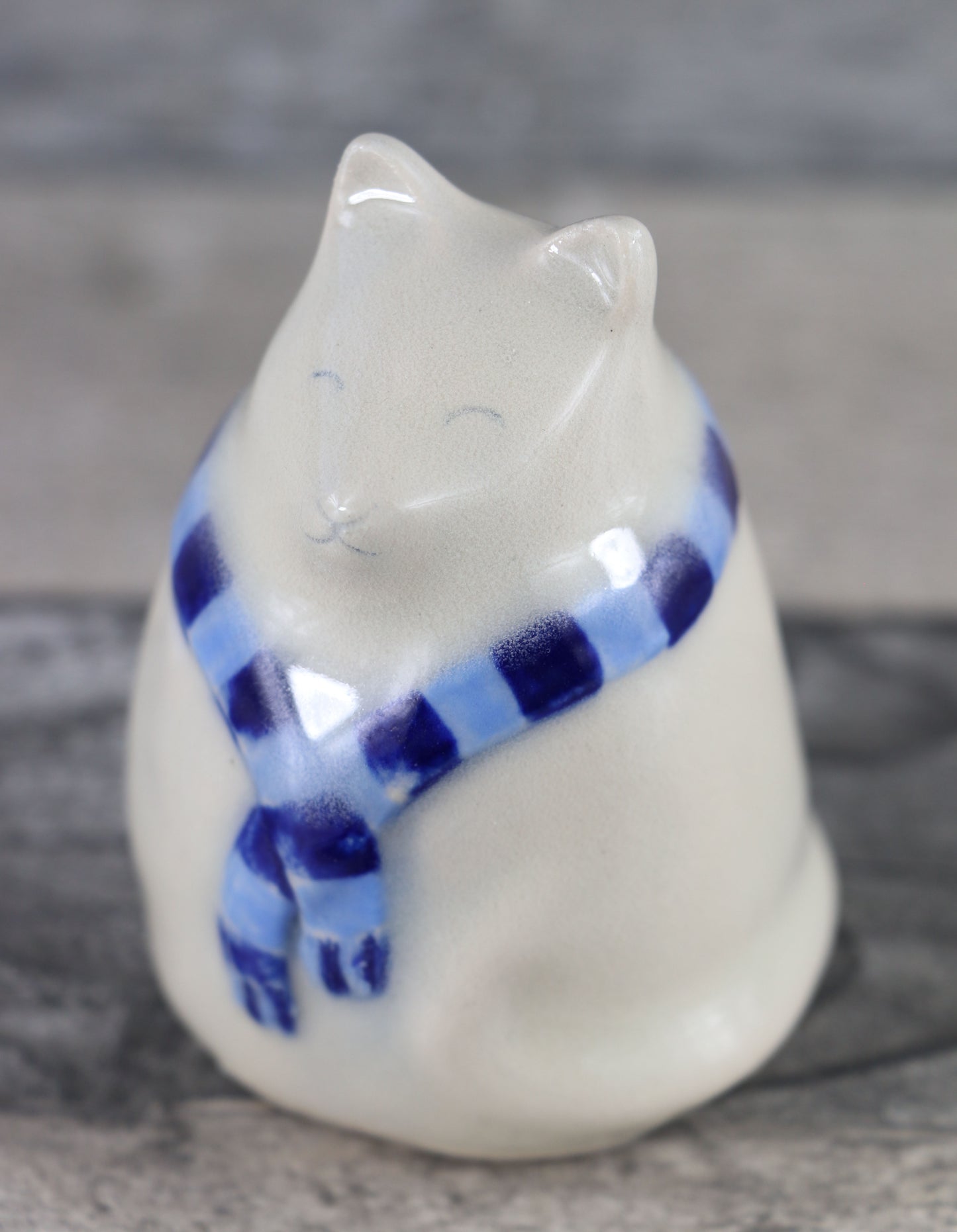 Blue Scarf White Cat