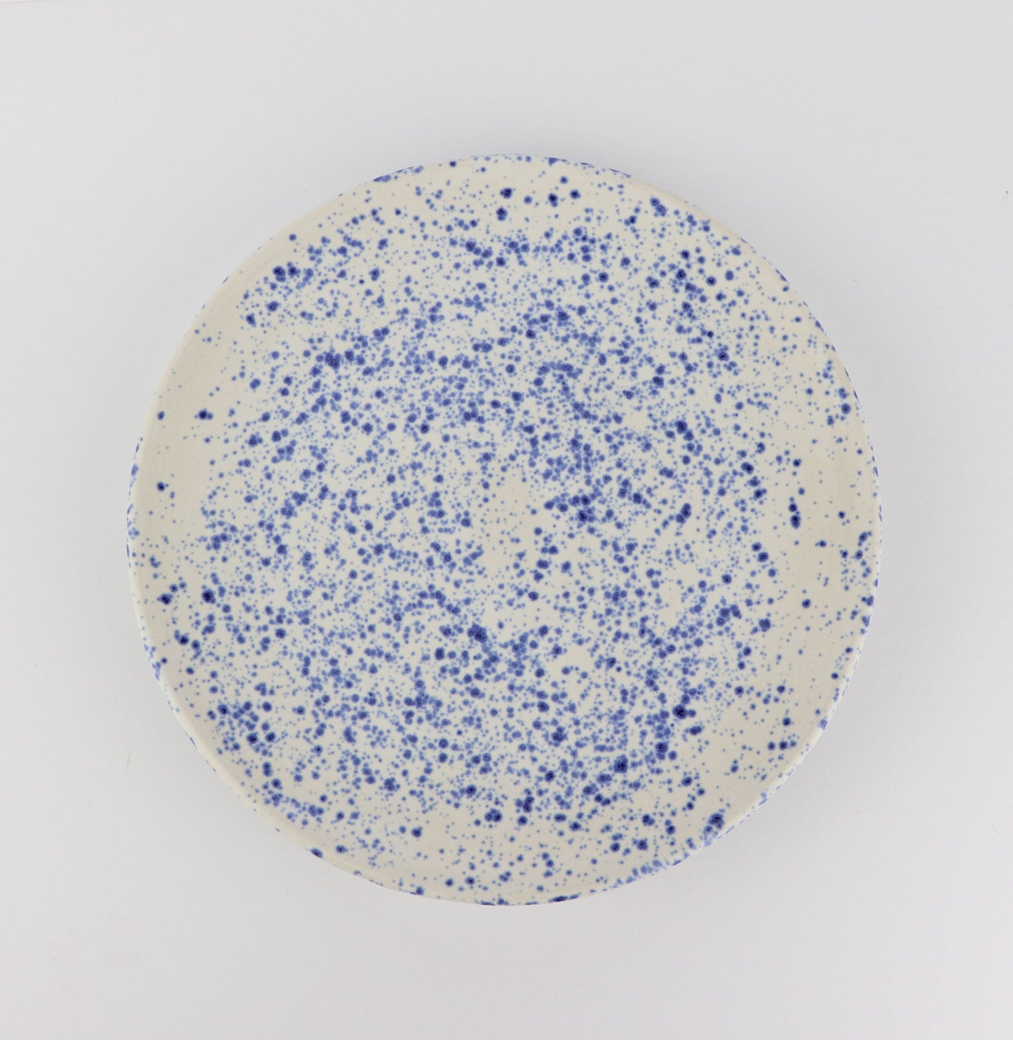 Blue Splatter Plate