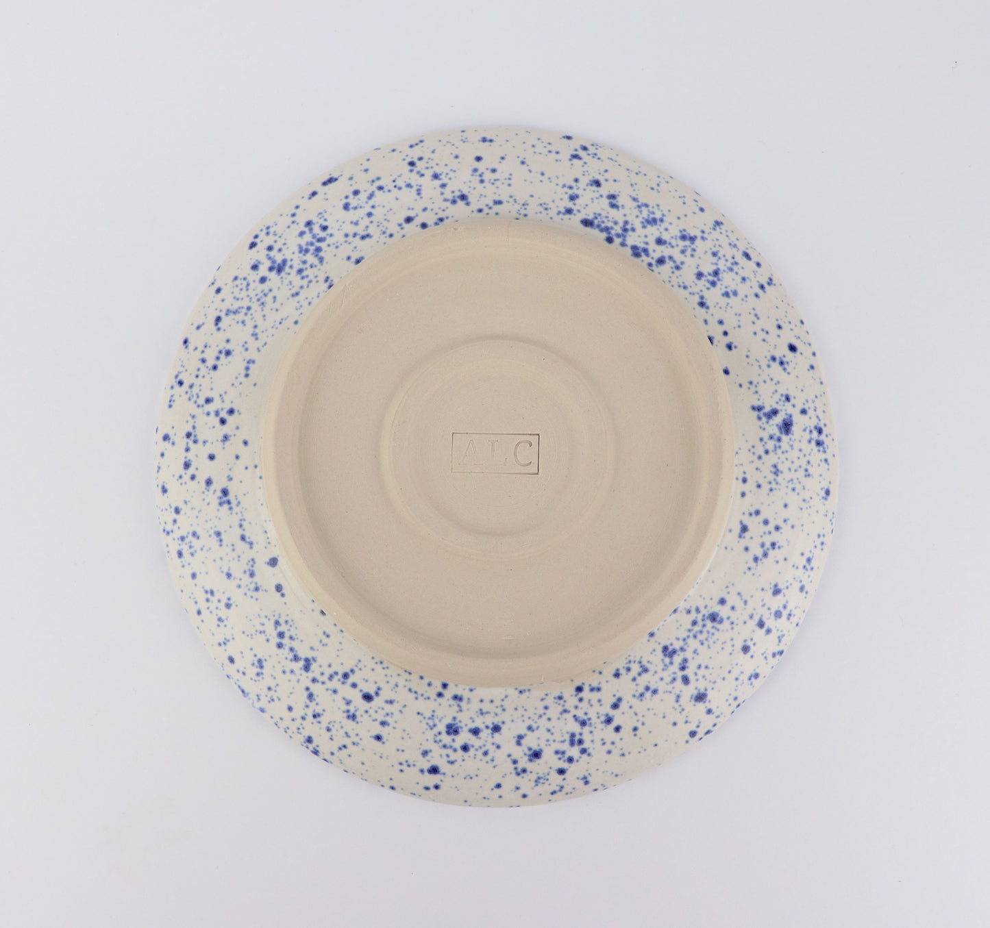 Blue Splatter Plate