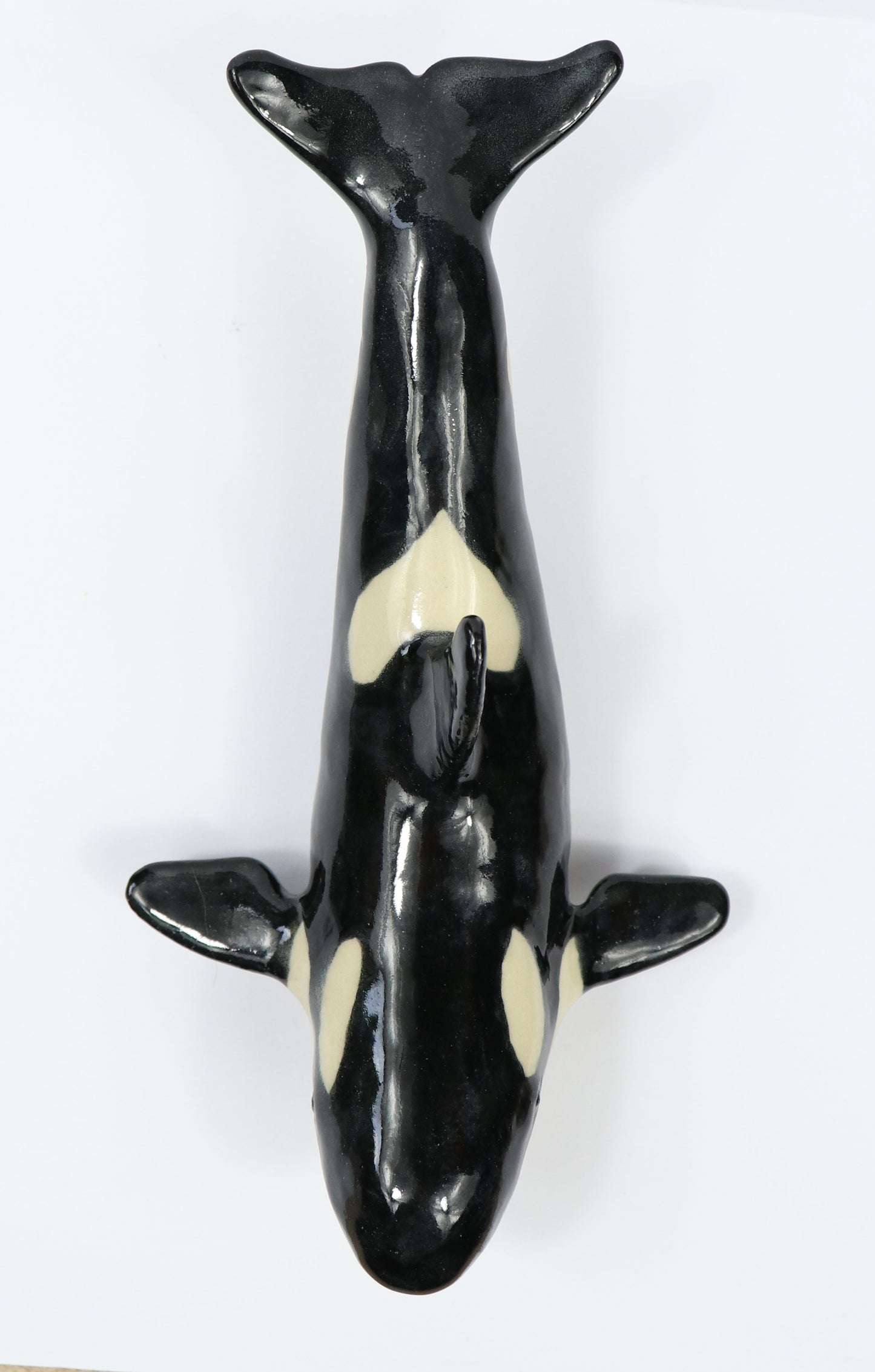 Orca