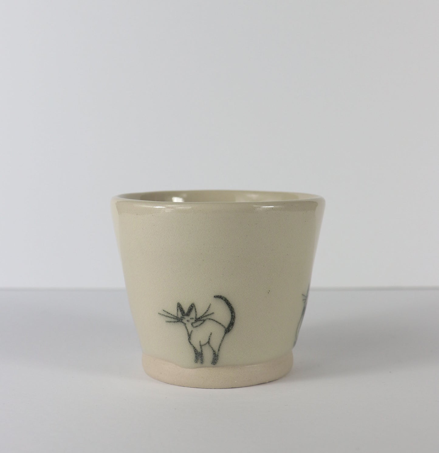 Small Cat Pot