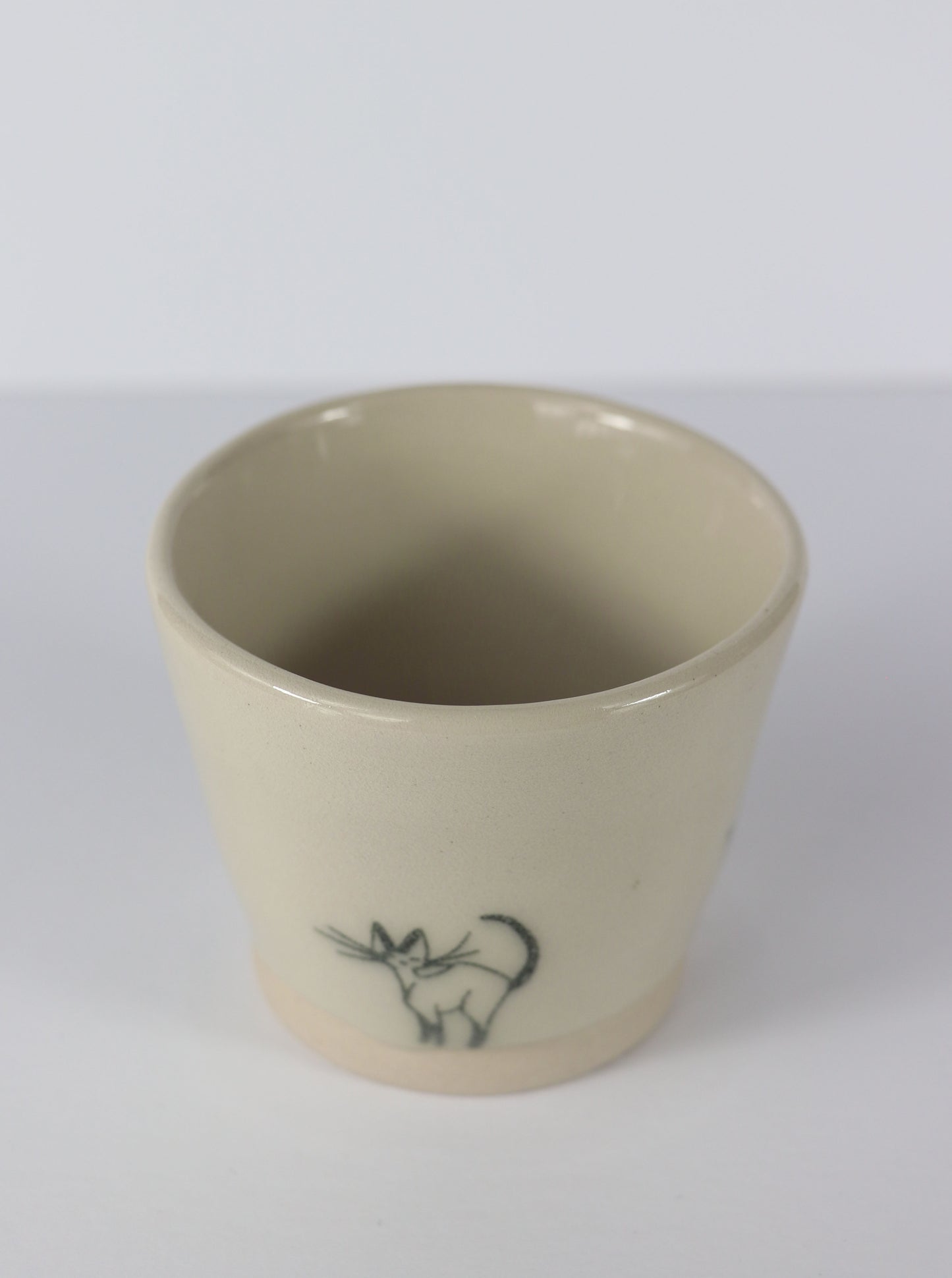 Small Cat Pot