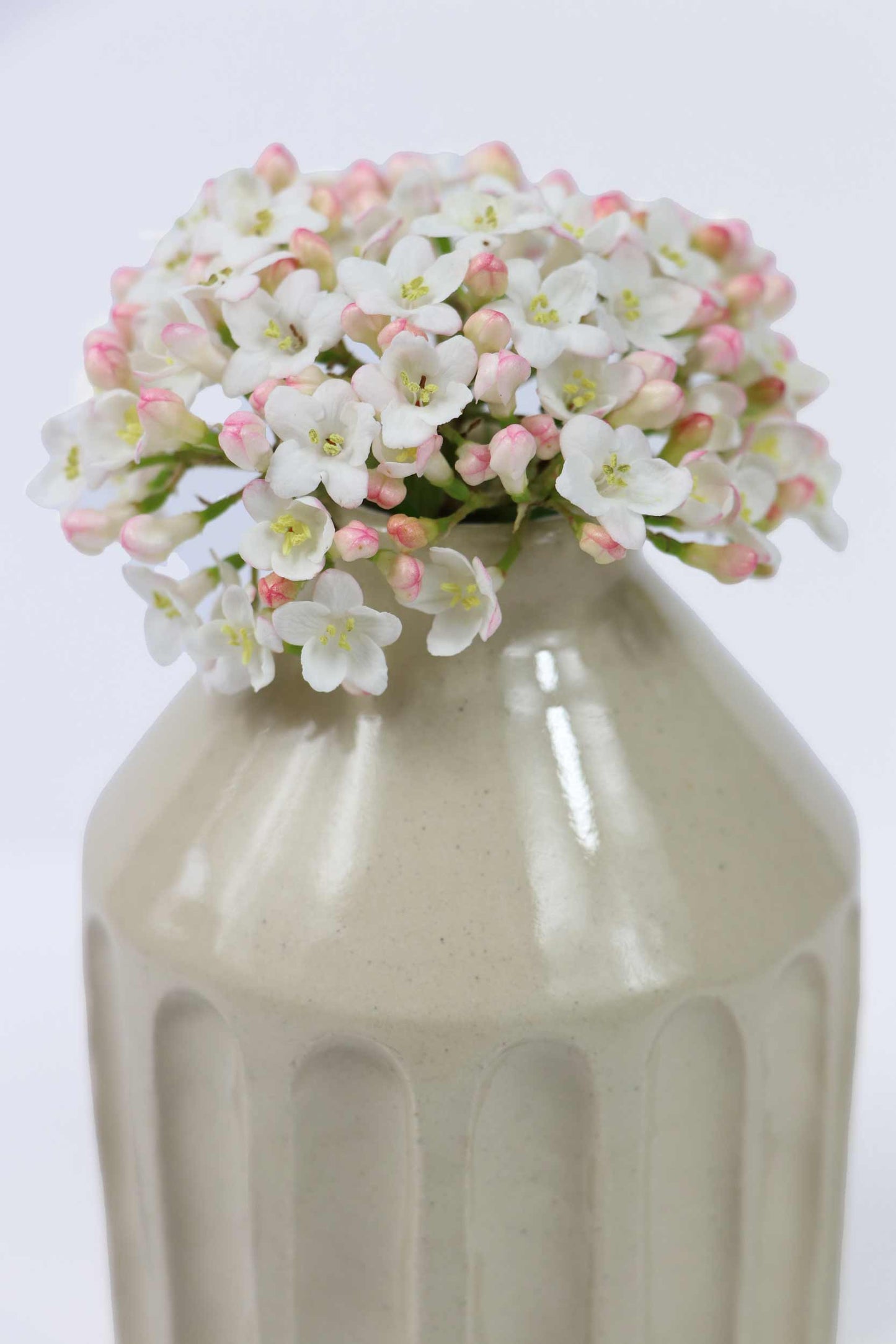 White Bud Vase